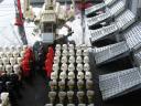 expo_fete_de_la_famille_2009_93.jpg