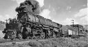 Blank_Murdoch_and_Eveving_Star_92220.webp