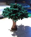 tree2.jpeg