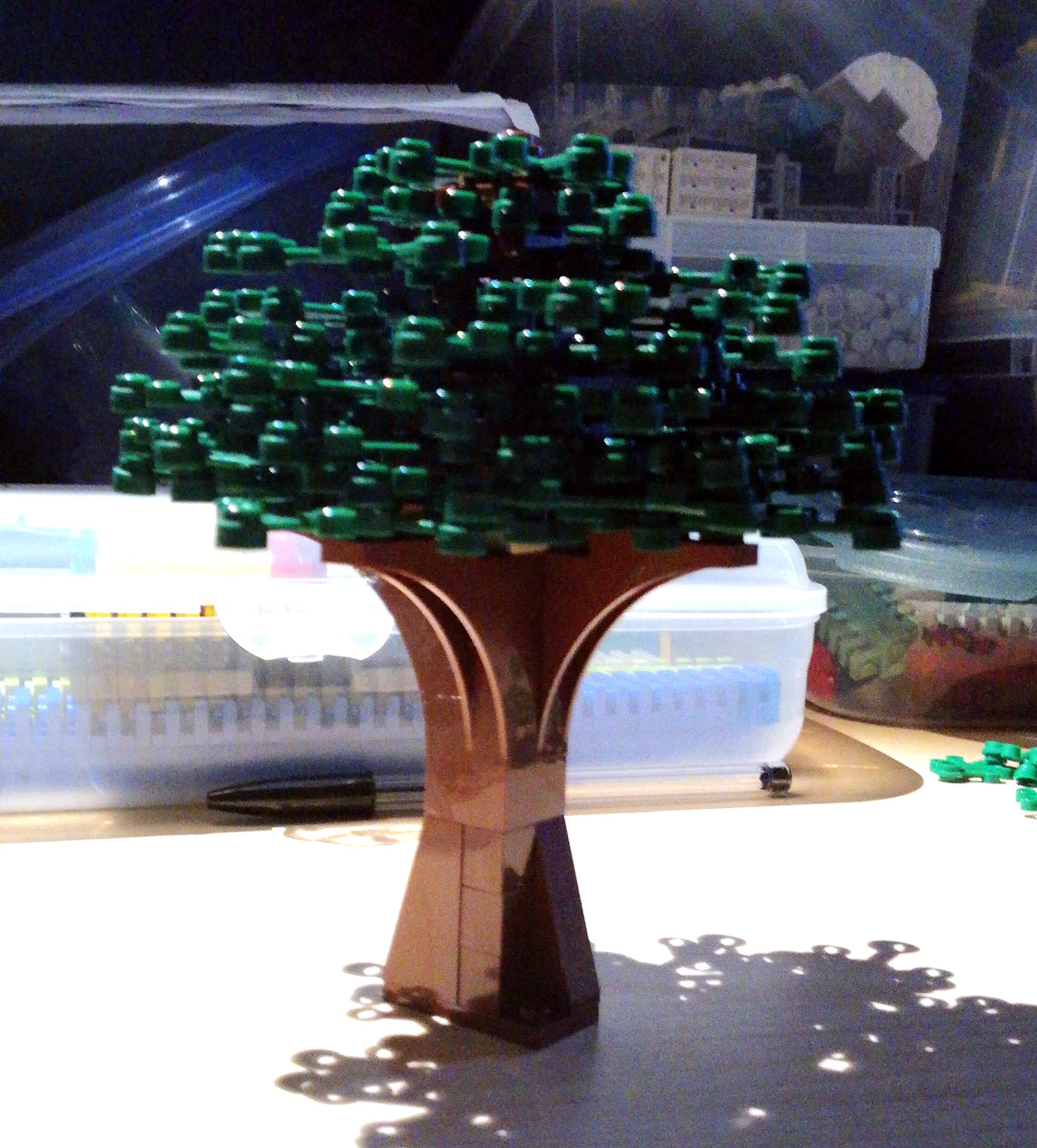tree1.jpeg