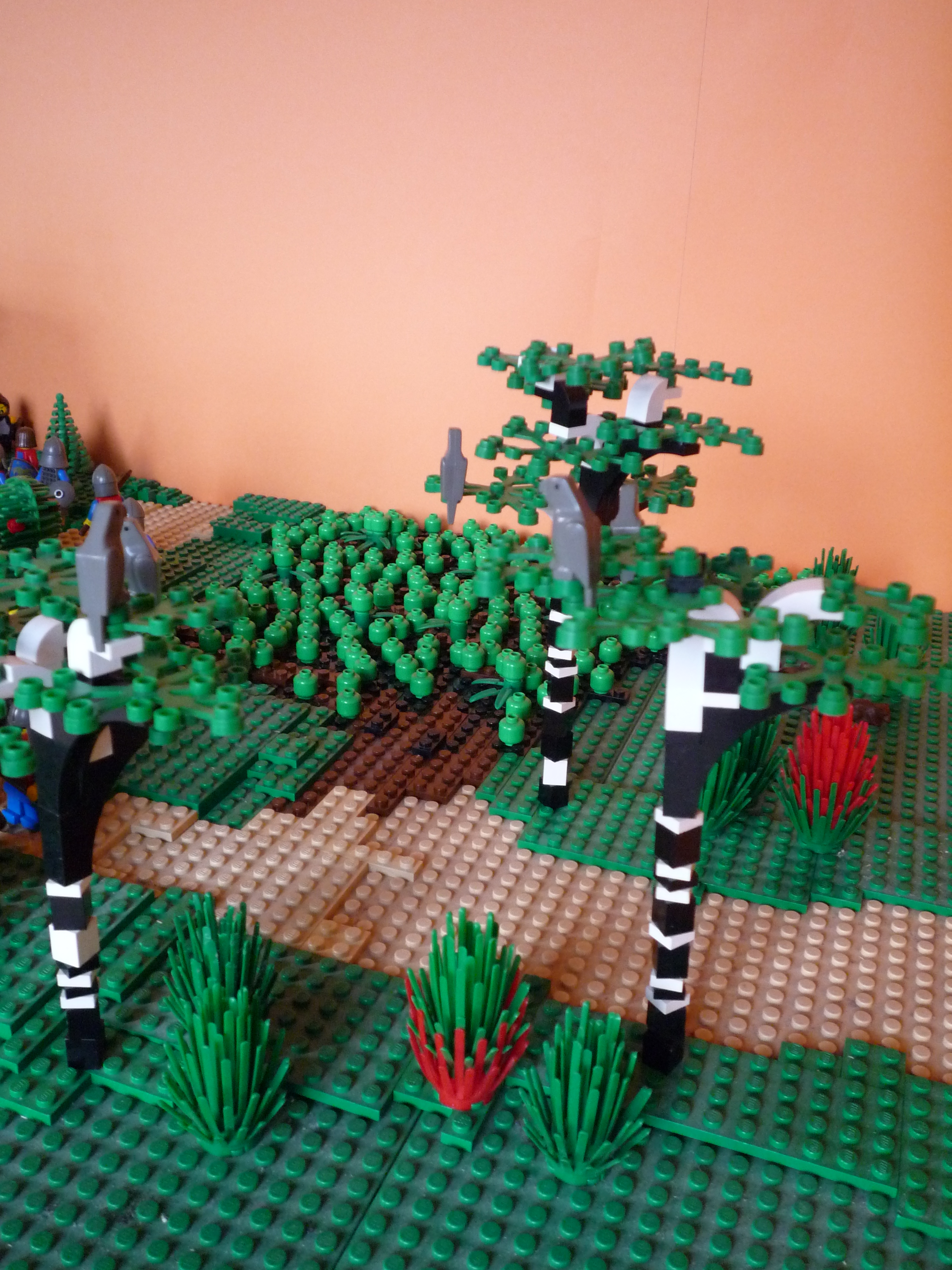 p1010027.jpg