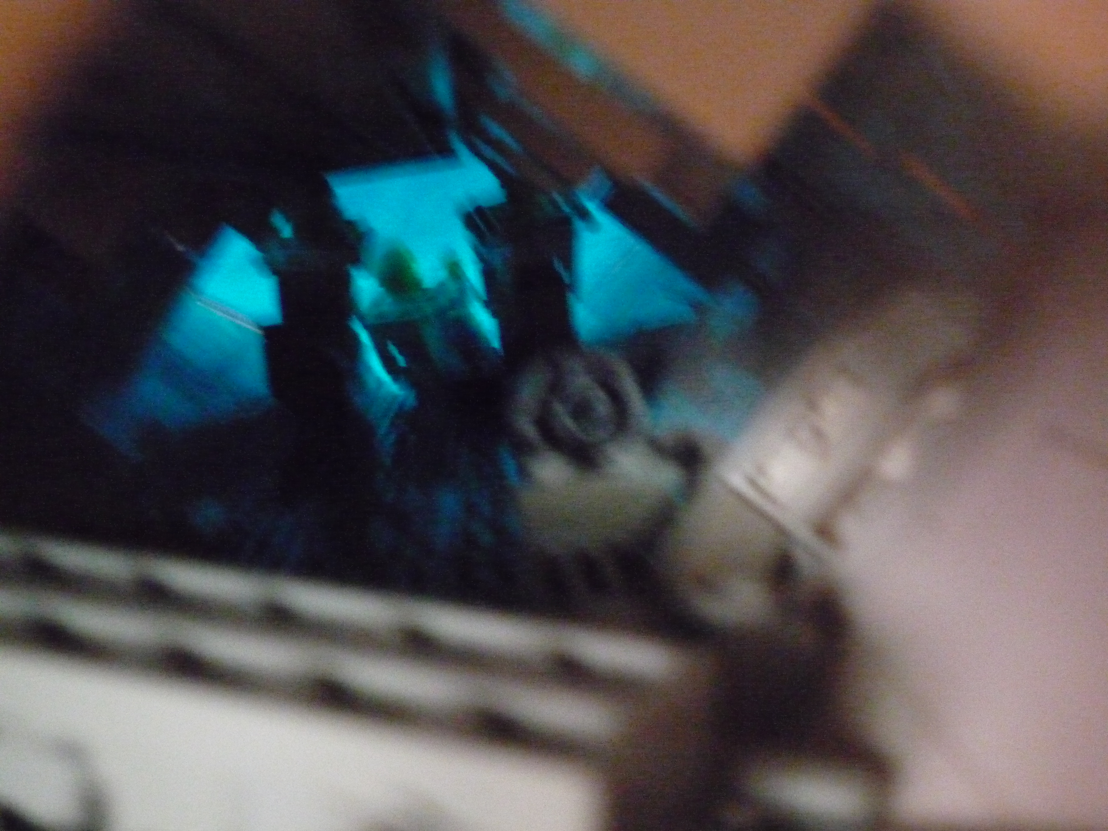 p1000599.jpg
