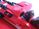 red_rambler_13.jpg