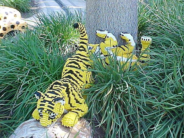 07mar04_09.jpg