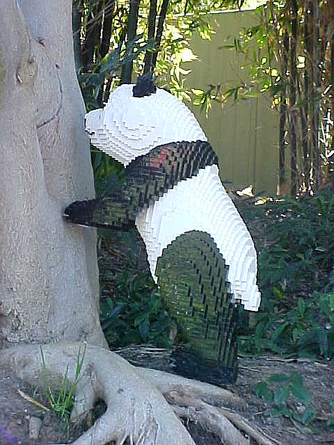 07mar04_12.jpg