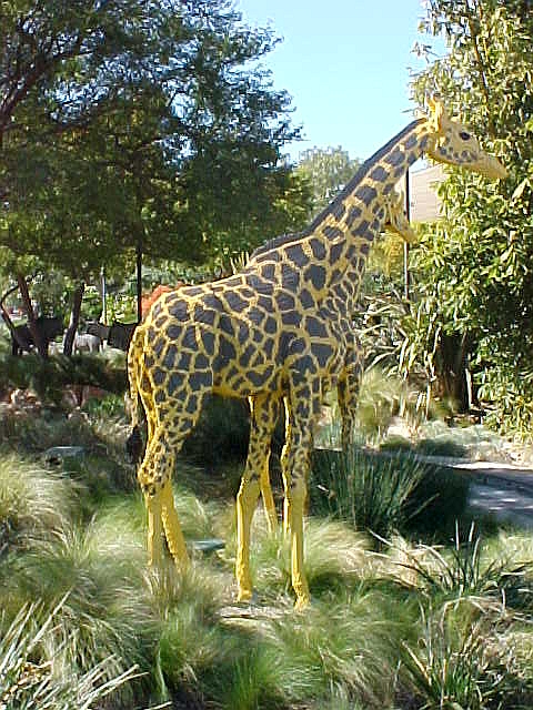 07mar04_16.jpg