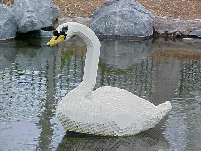 14mar04_24.jpg