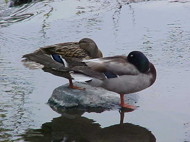 14mar04_26.jpg