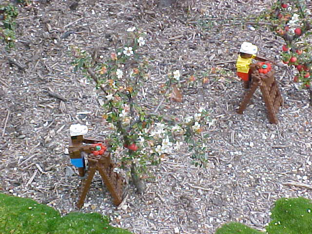 14mar04_39.jpg