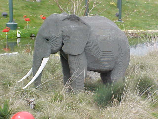 14mar04_45.jpg