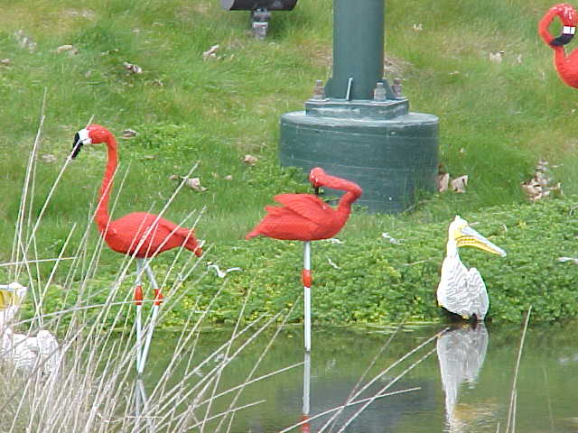 14mar04_48.jpg