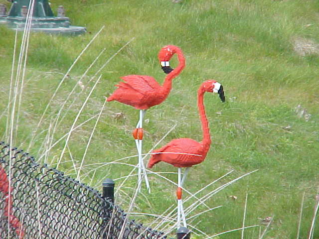 14mar04_49.jpg