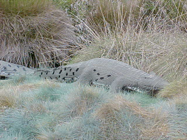 14mar04_50.jpg
