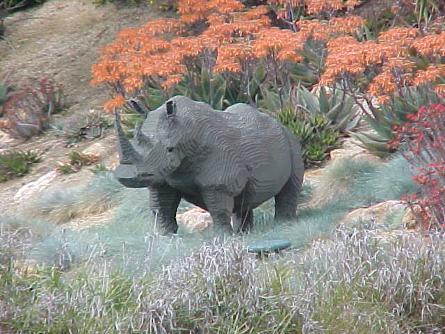 14mar04_51.jpg