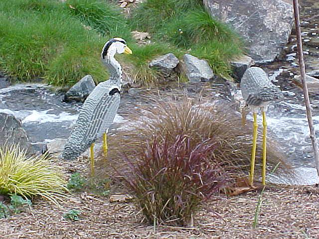 22feb04_04.jpg