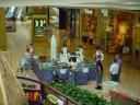 dsc04005.jpg