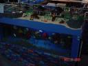 beach-underwater05.jpg