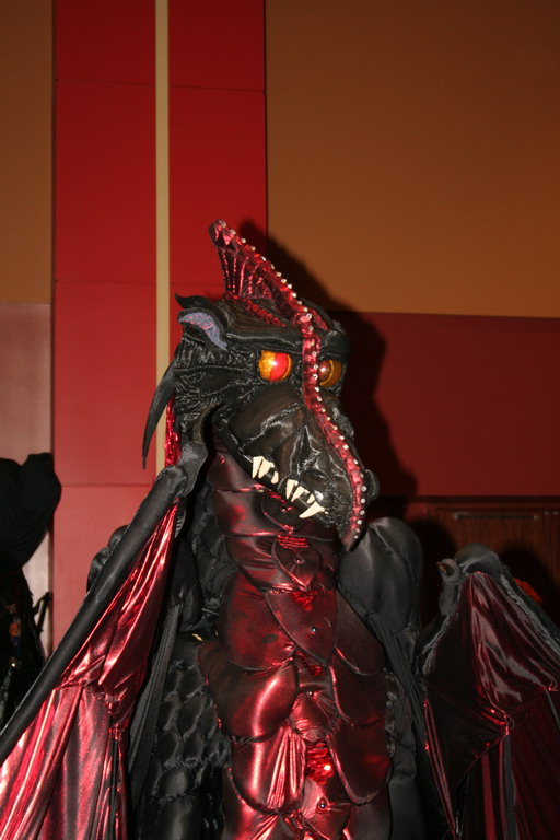 marcon41_33.jpg