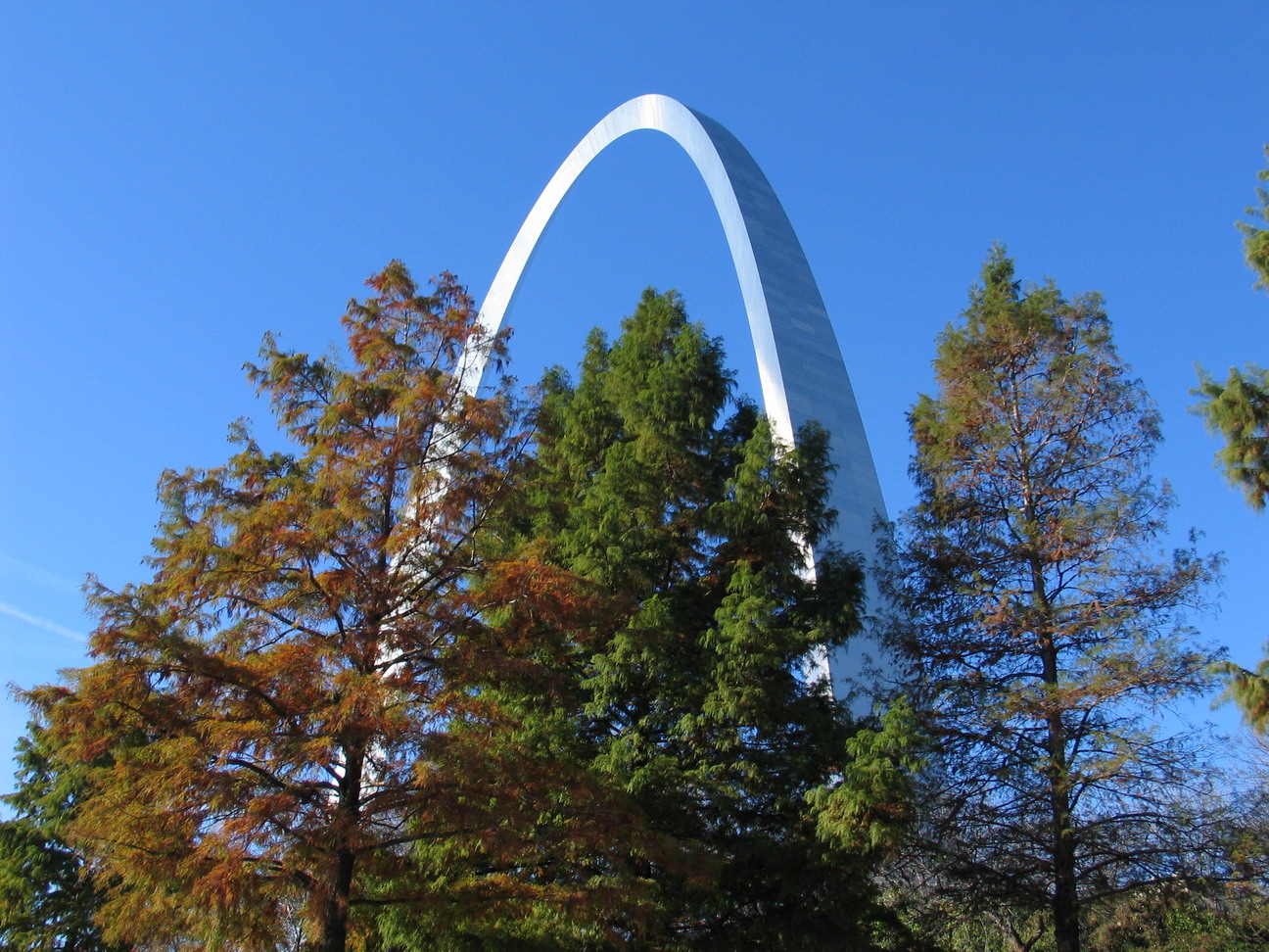 img_7566.jpg