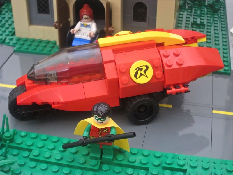 22_robin_and_redbird.jpg