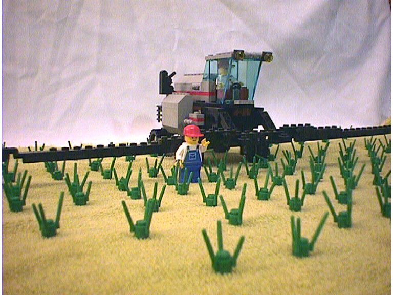 hagie02.jpg