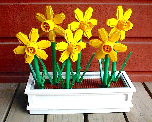 daffodils.jpg