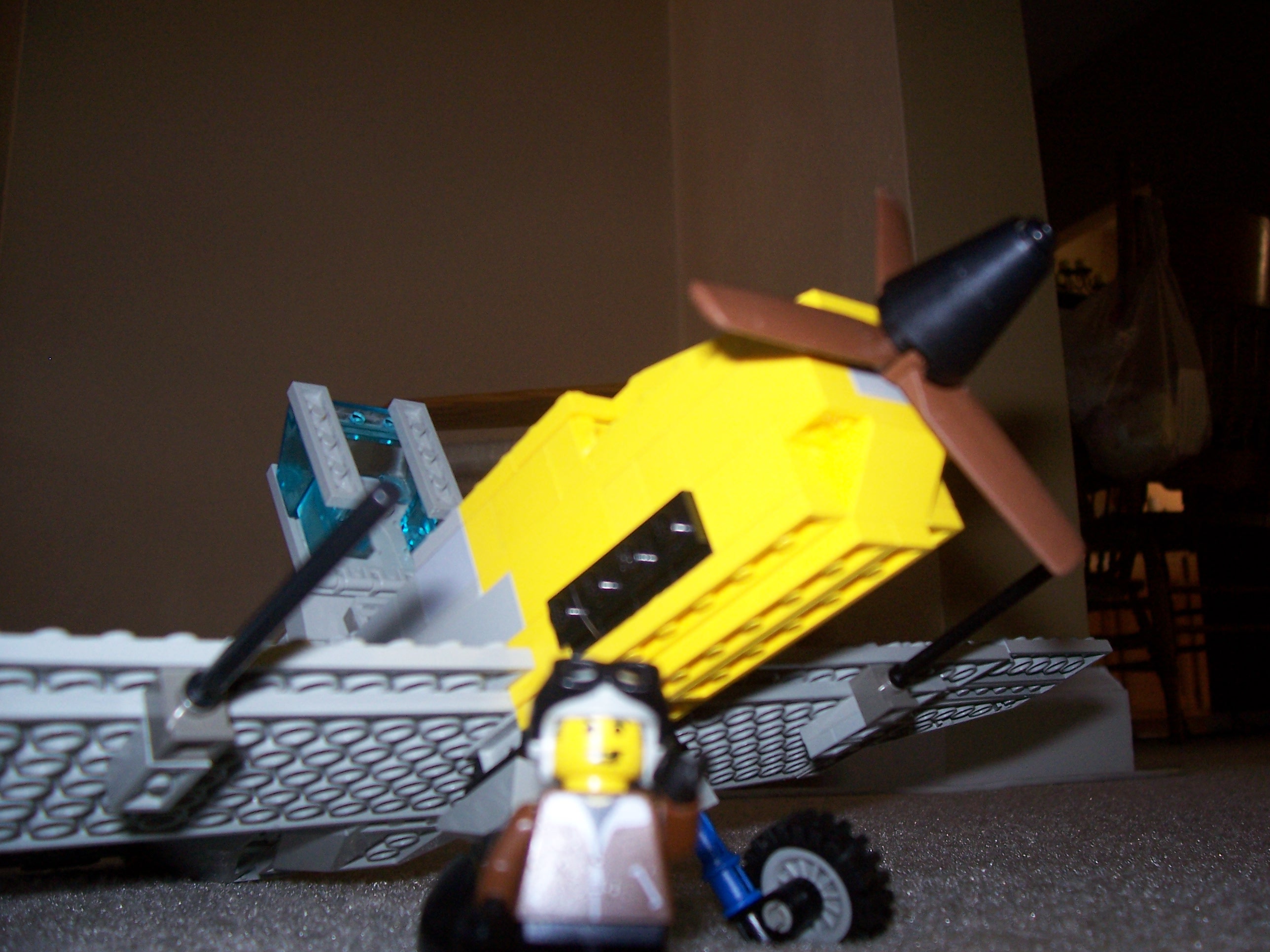 100_0406.jpg
