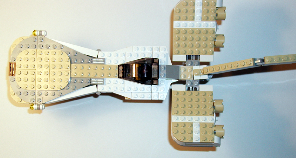 hammerhead3.jpg