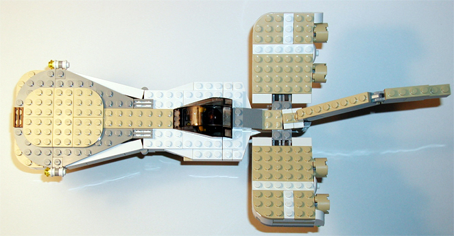 hammerhead4.jpg