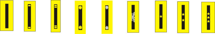 shoulder_straps_officers.jpg