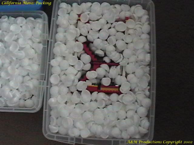 ca_move_07-2002_0005.jpg