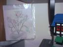toyroom_200411_0027.jpg