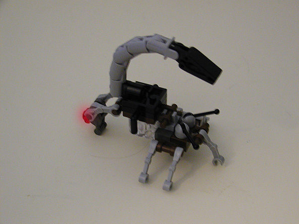 scorpiona.jpg