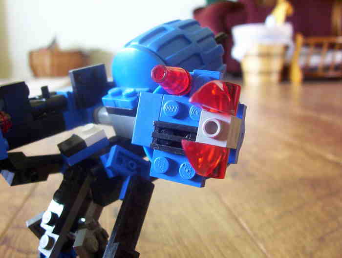 06.jpg