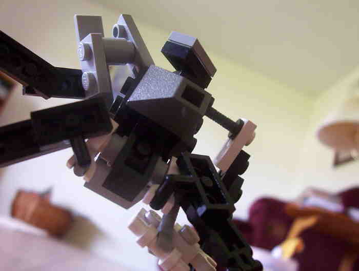 06.jpg