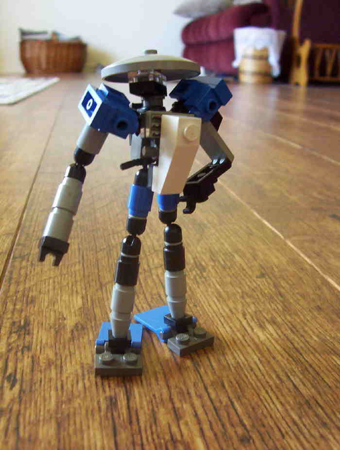 05.jpg
