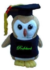 owl.jpg