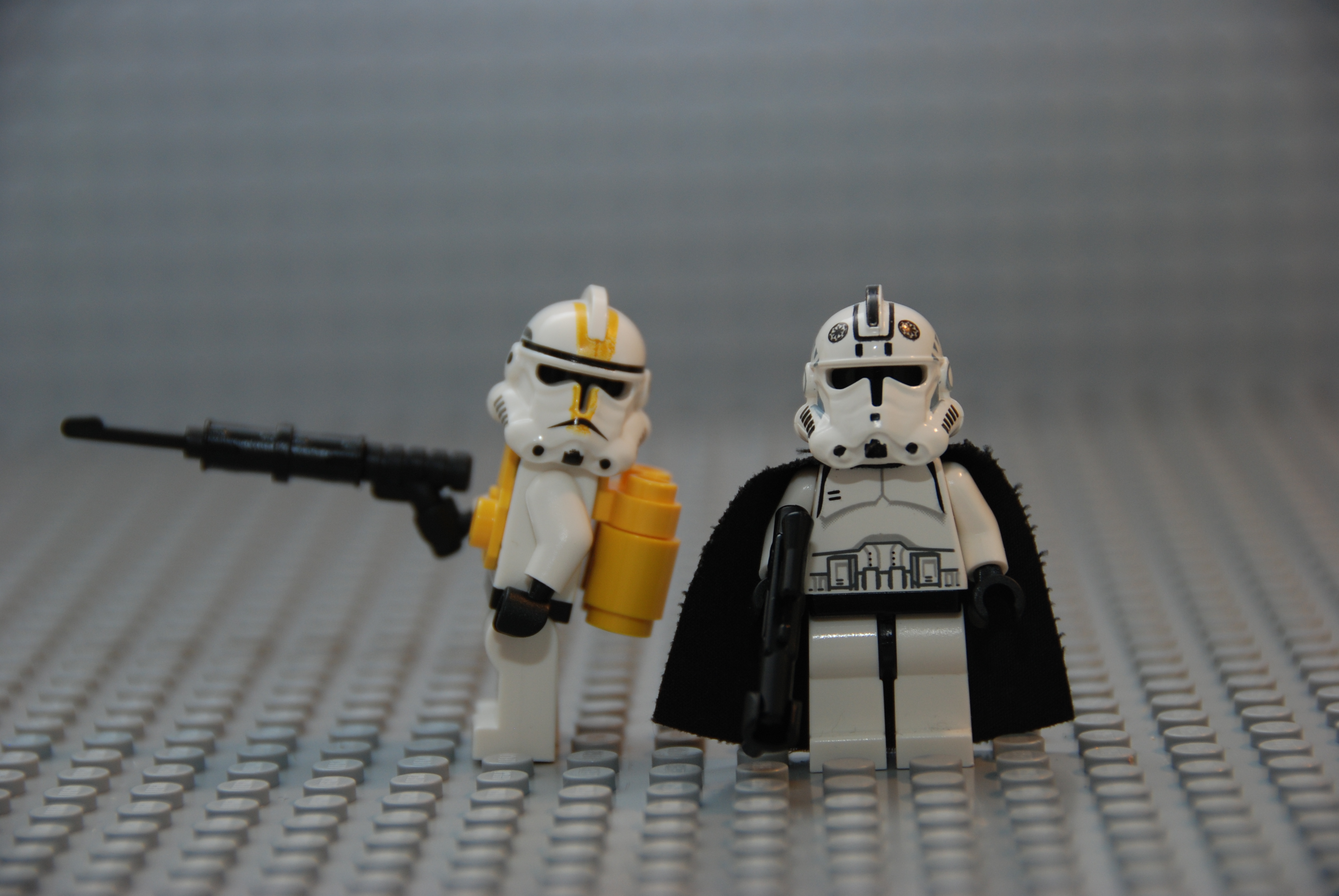 dsc_0913.jpg