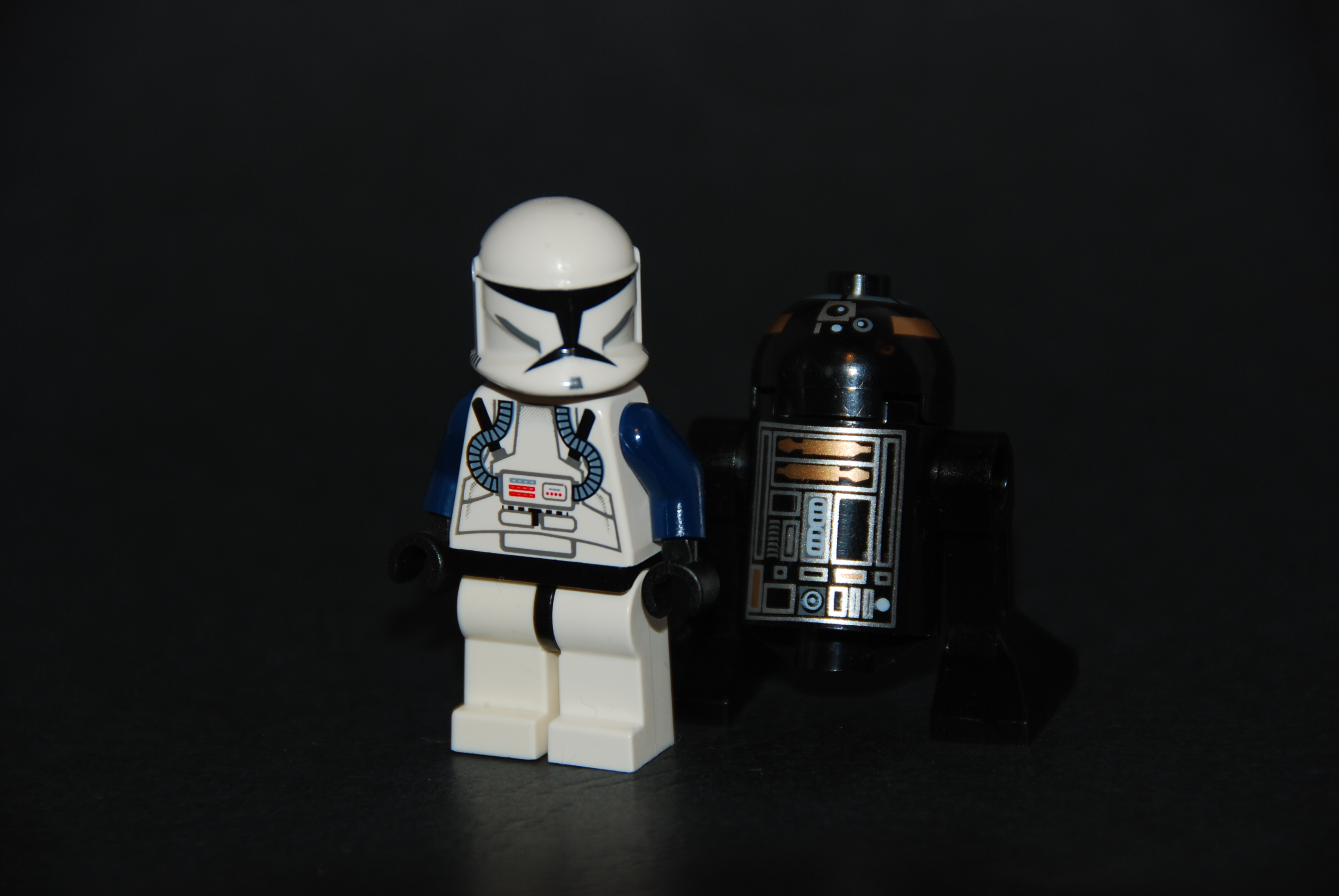 dsc_0565.jpg