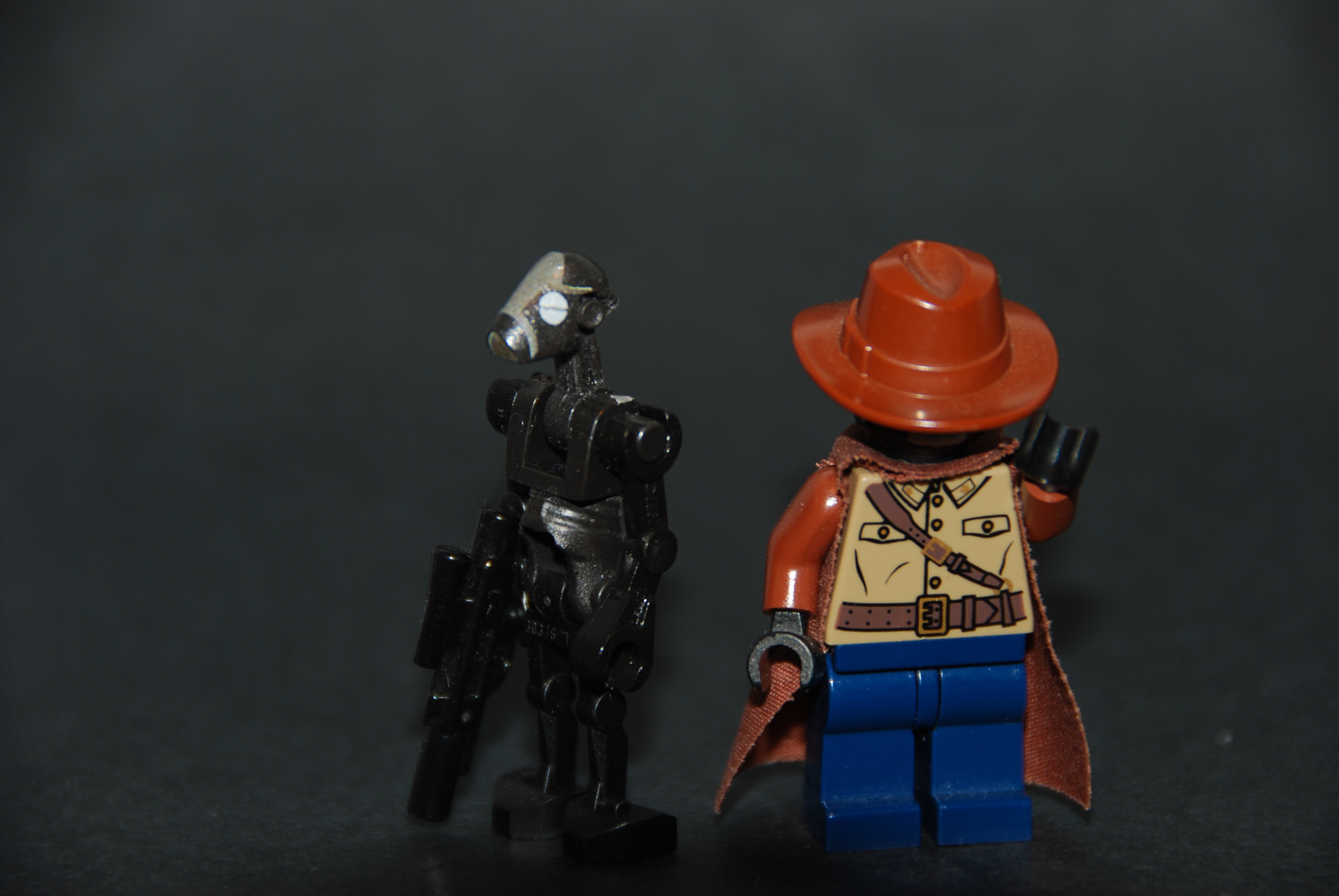 dsc_0570.jpg