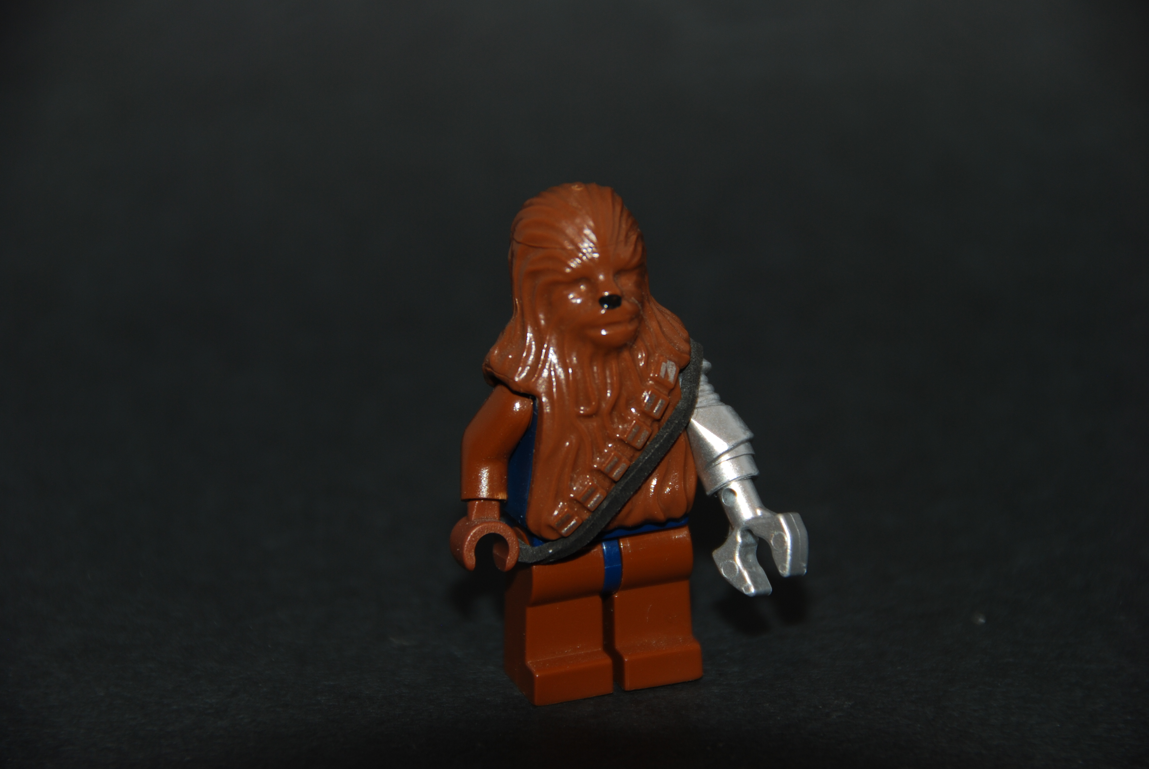 dsc_0575.jpg