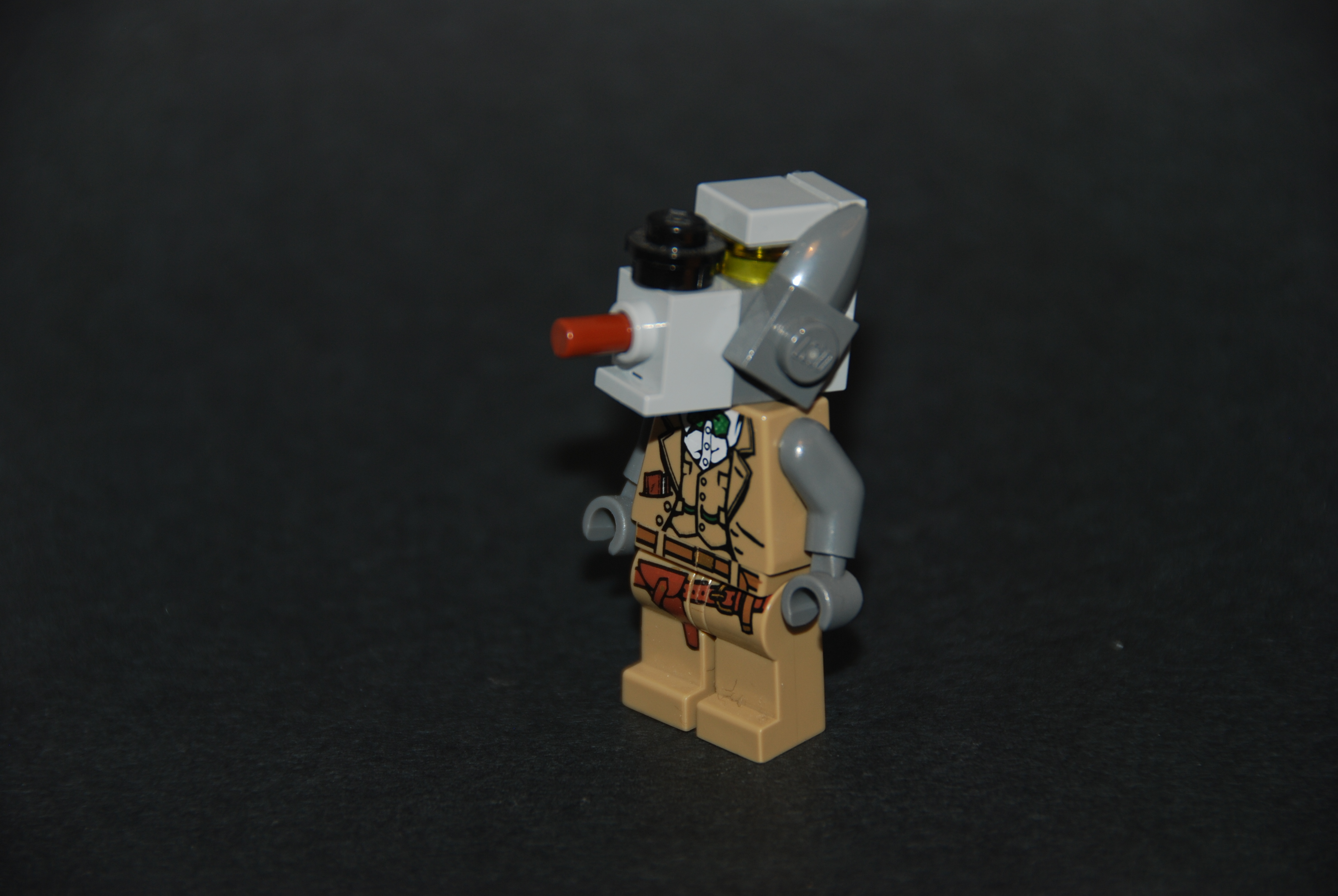 dsc_0584.jpg