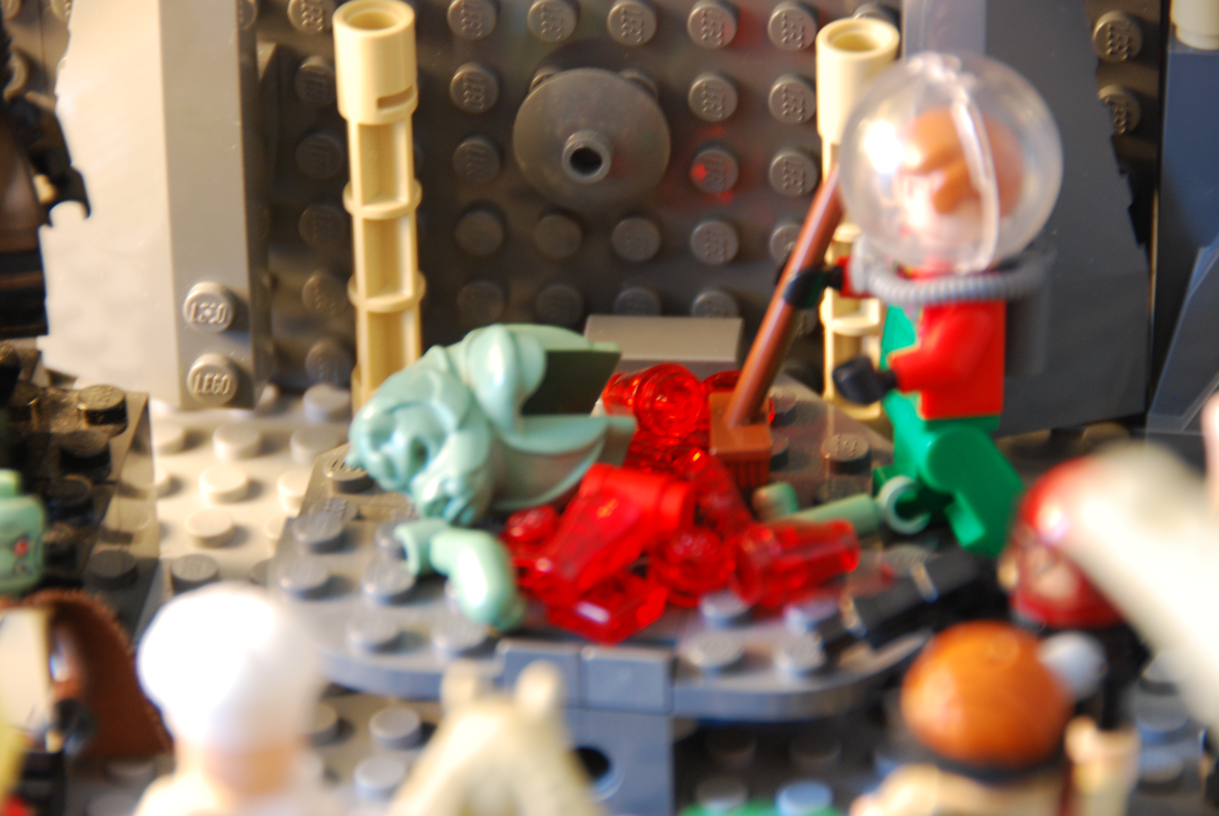 dsc_0677.jpg