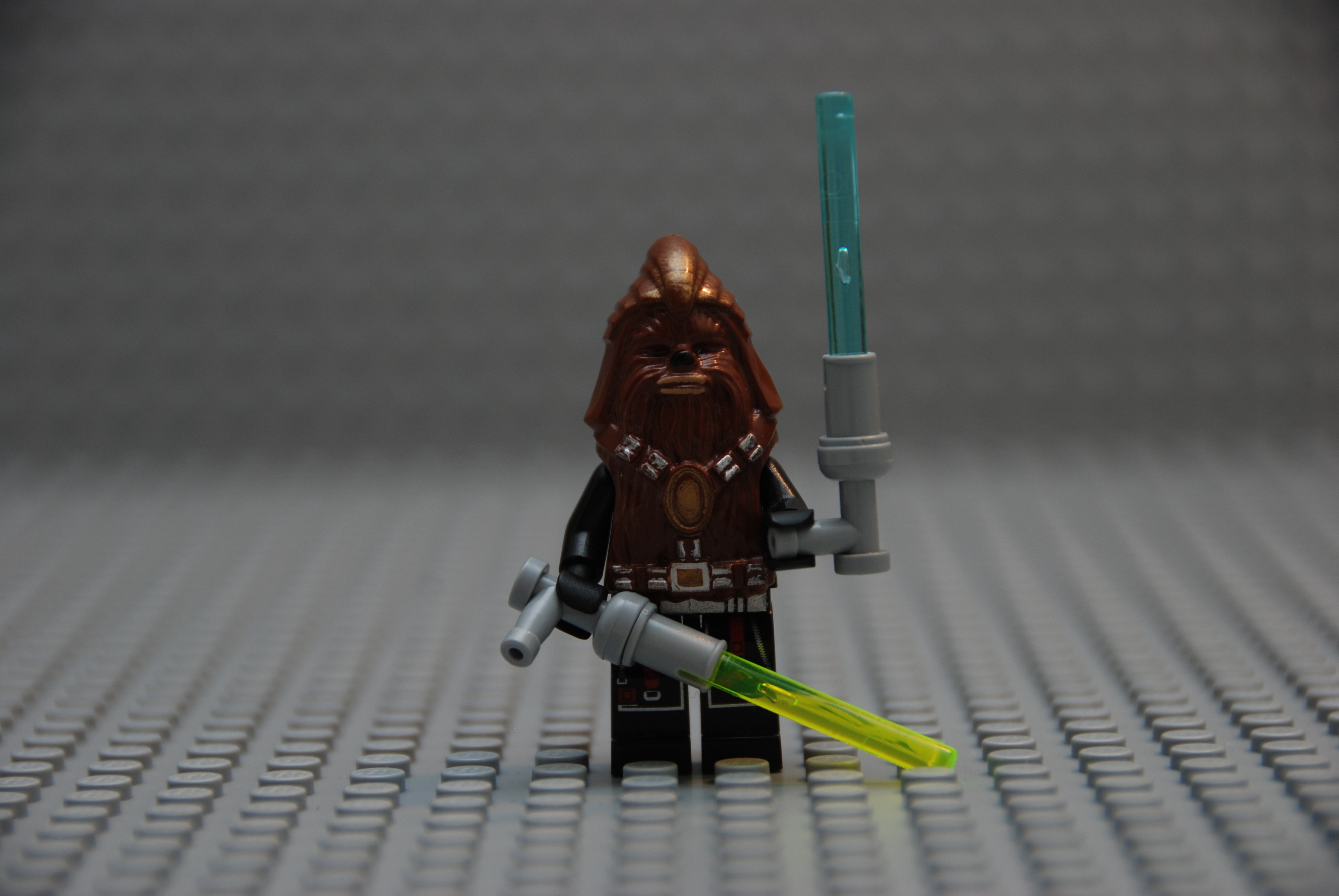 dsc_0930.jpg