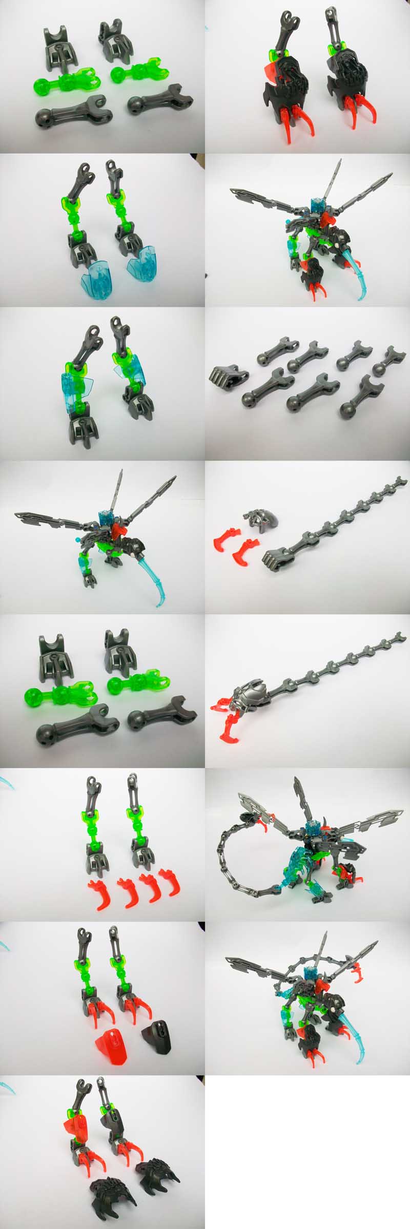 4_limbs.jpg