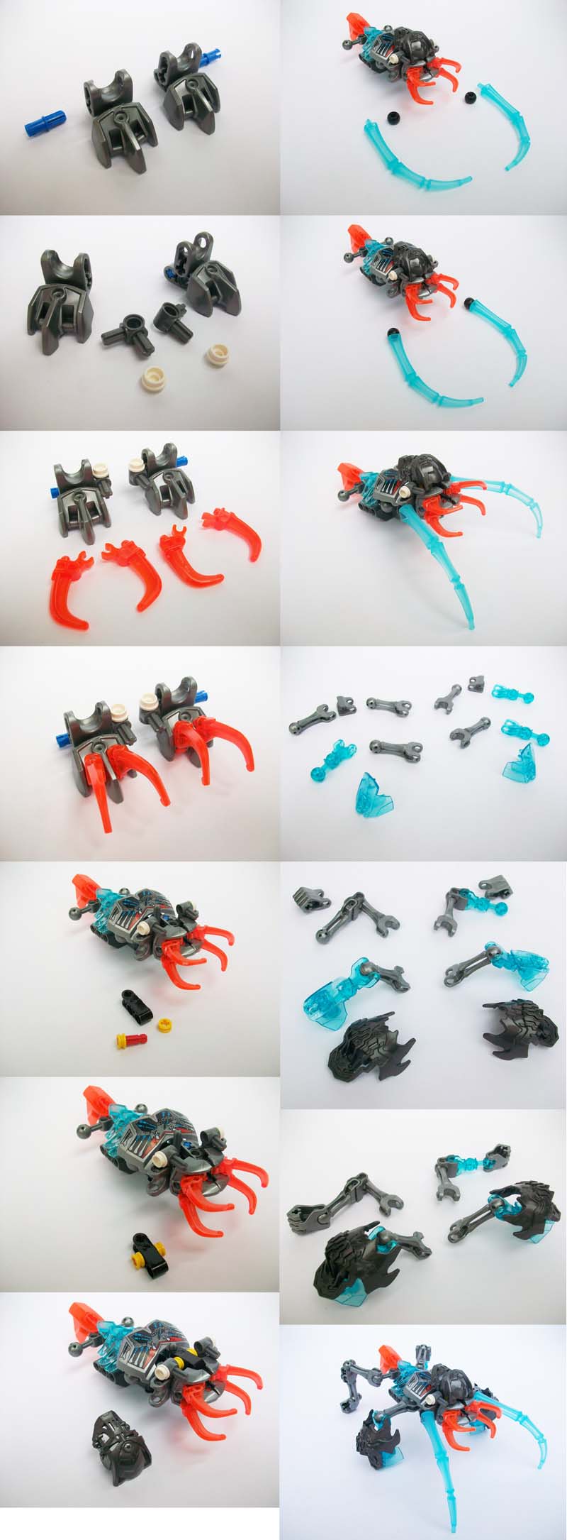 3_limbs.jpg