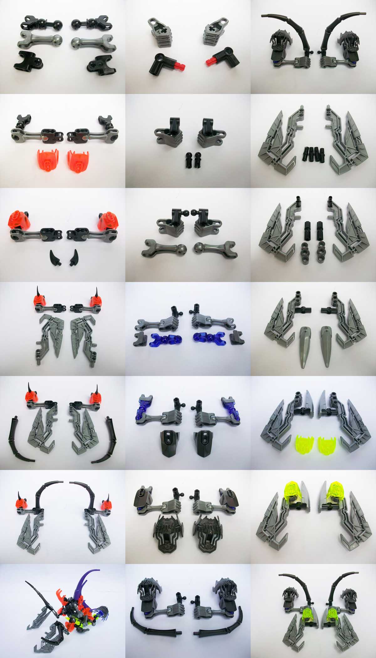 3_limbs.jpg