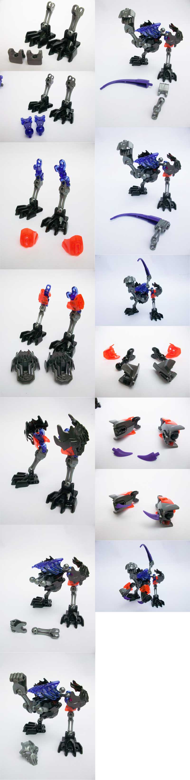 3_limbs.jpg