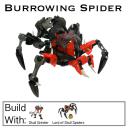 cBurrowingSpider