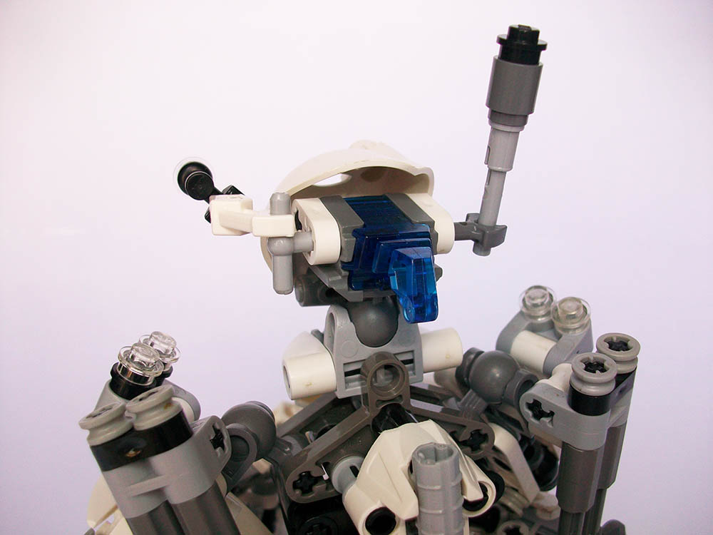 119_back_of_head.jpg